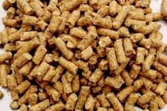 Poultry-feed-pellets-processing-techn