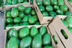 Untitled design - 13