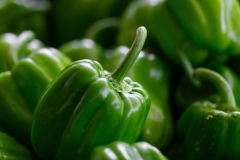 pexels-enginakyurt-27644247-scaled