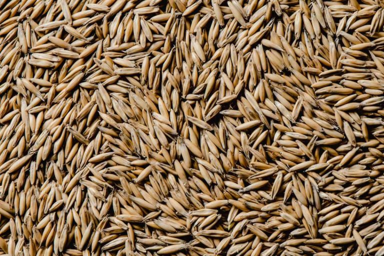 OAT groats 2